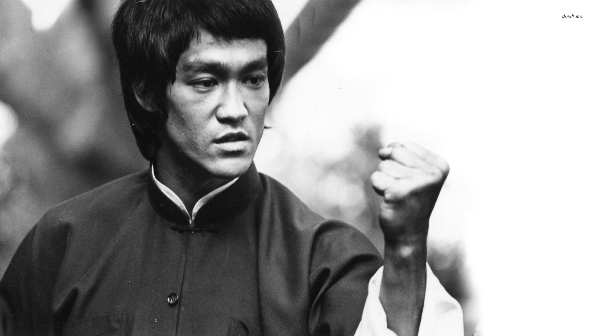 Bruce Lee Doğum Günü