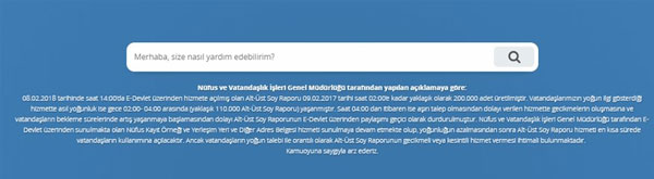 E-Devlet üzerinde Alt-üst Soy Bilgisi Sorgulama