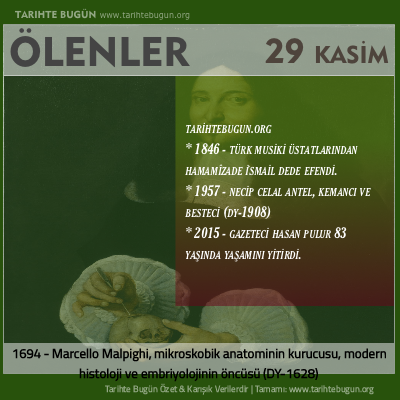 Bugün ölenler özet 29 Kasim