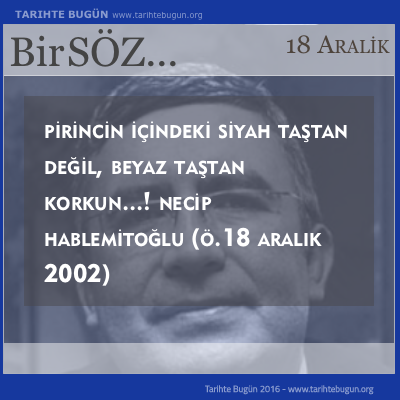 Günün Sözü Necip Hablemitoğlu Pirincin içindeki 