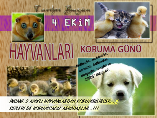 Hayvanları Koruma Günü Bu yıl bugün