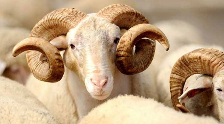 Kurban Bayramı Birinci Günü