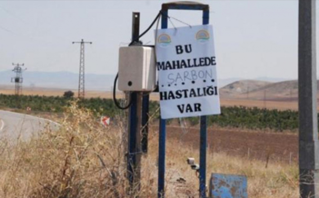 Ankara Gölbaşı Şarbon Hastalığı