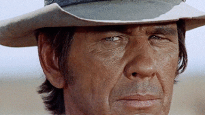 Charles Bronson Vefat Etti