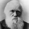 Charles Darwin kimdir ölüm tarihi teorisi