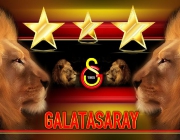 Şampiyon Galatasaray 2007-2008