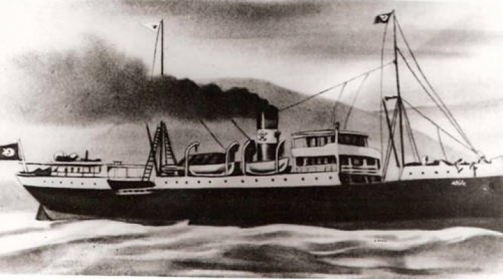 Mustafa Kemal Paşa Samsuna gitmek üzere İstanbuldan ayrıldı